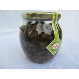 šnečí maso v zeleninovém vývaru 20 ks - menší velikost masa